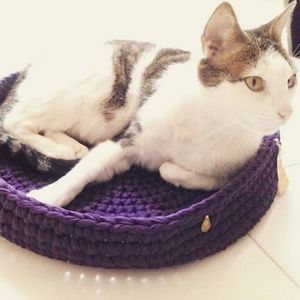 Meet your Posher, Lina